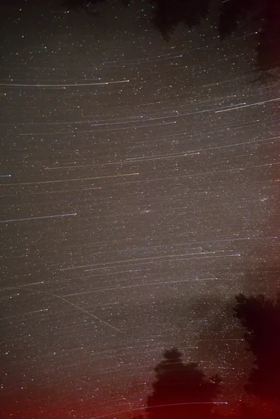 DSC_5989 (Large).JPG